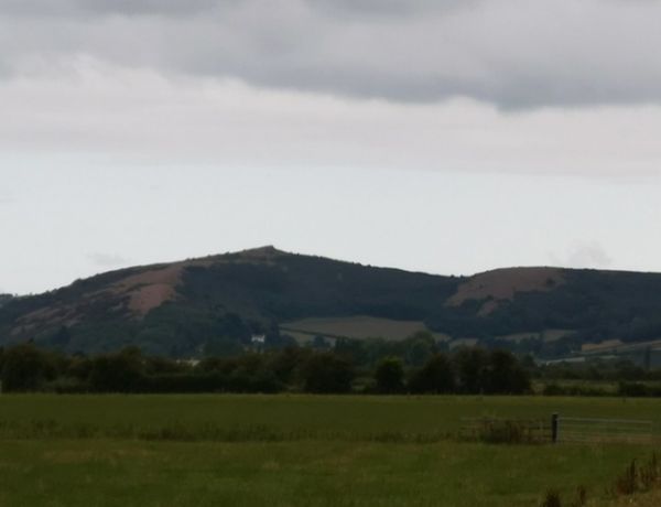 View of crook peak